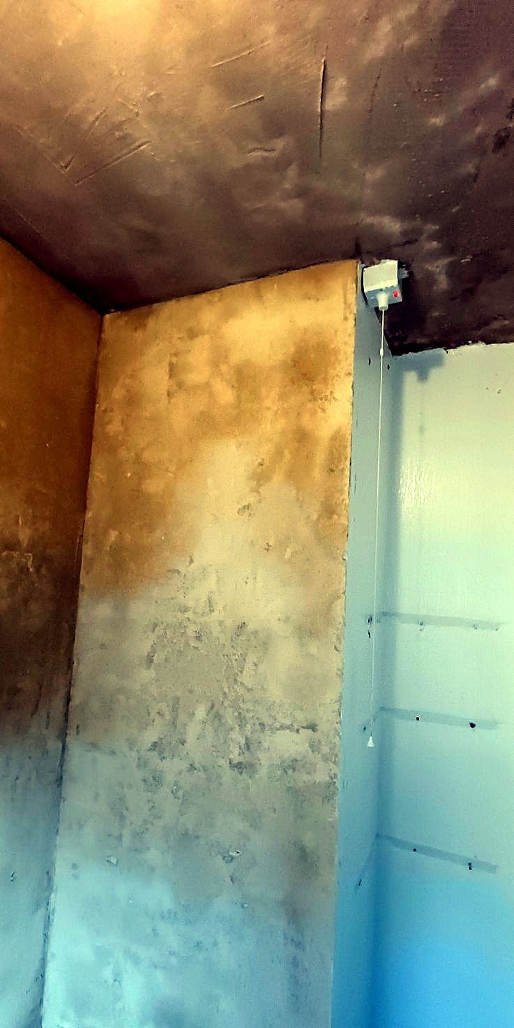 Walls back to plaster